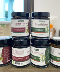 Cao rễ bồ công anh Medifarm