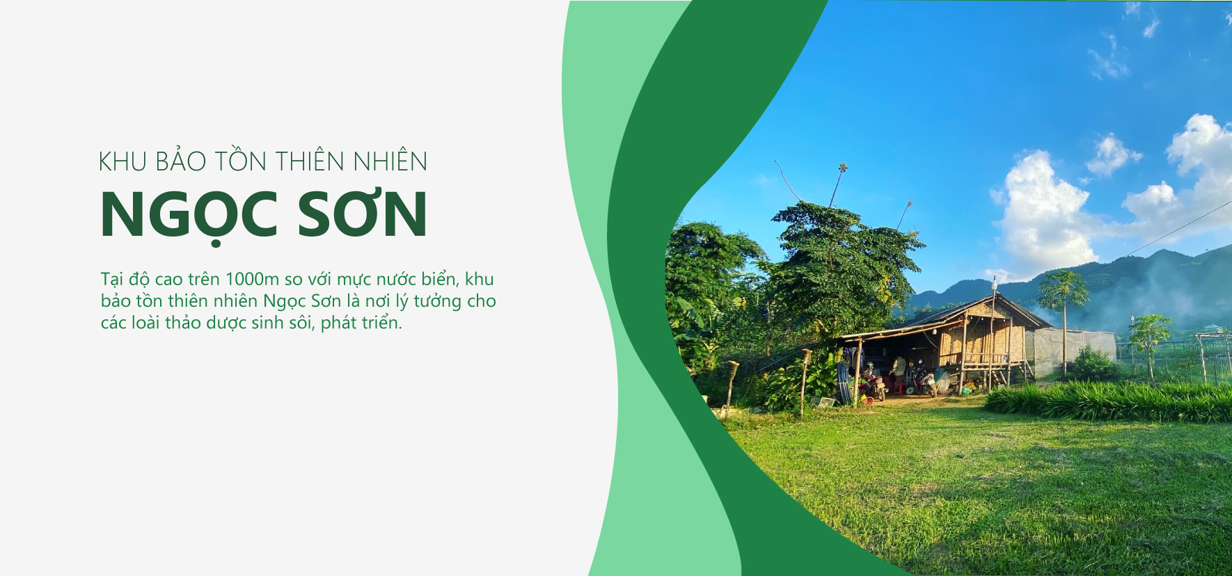 Khu bảo tồn thiên nhiên Ngọc Sơn Medifarm